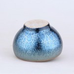 Blue Lotus oil drops to build a lamp