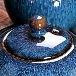 Kiln-Changed Starry Hare's Fur Teapot